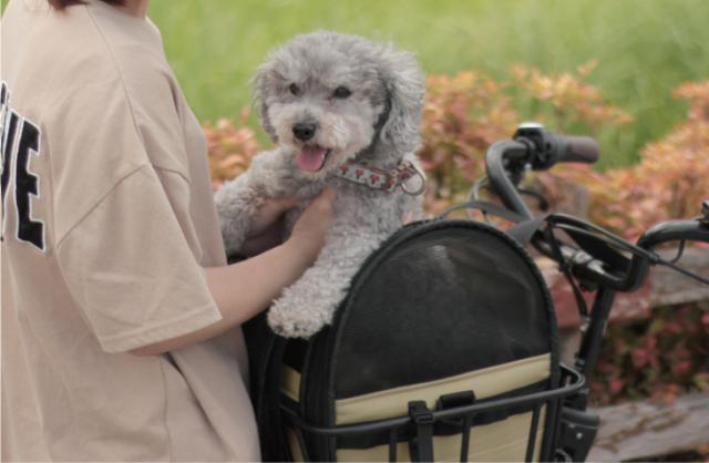 maruto マルト ペットキャリーカゴバッグ INB-PT-01 自転車 犬 用 カゴ 乗せる 前かご ペット乗せ ペット 乗せ ペットポーター かご 電動 用 自転車 猫 キャリーバッグ ネコ 自転車の通販は