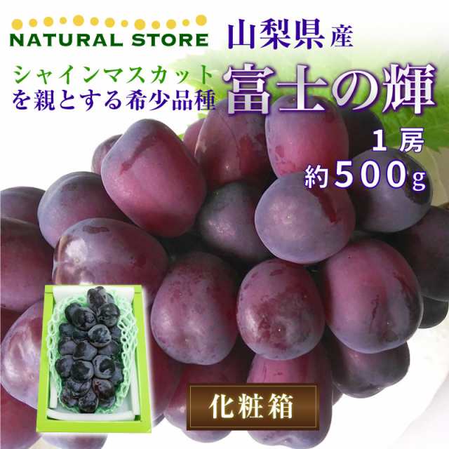 最短順次発送] 富士の輝 1房 500g 特大 山梨県 ブラックシャイン