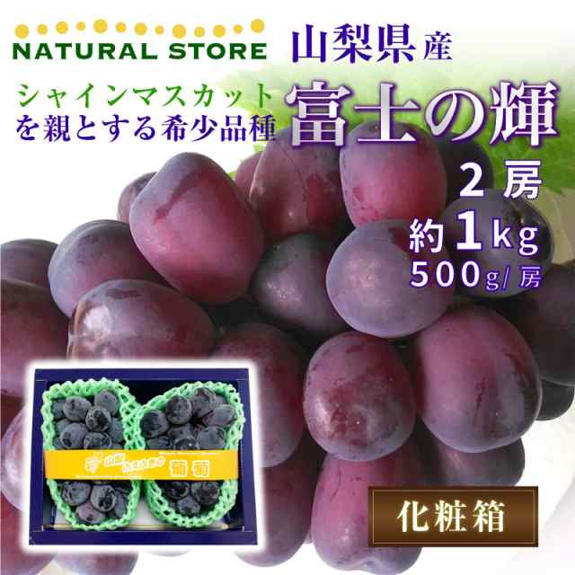 最短順次発送] 富士の輝 2房 1kg 500g/房 大粒 ブラックシャイン