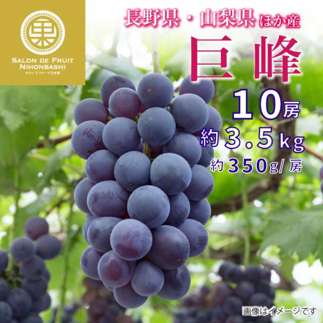 まだ間に合う！お盆用 [8月10日-8月15日ご納品] 巨峰 ぶどう 10房 約3.5kg 約350g x10 長野県 山梨県他 化粧箱 ブドウ 葡萄  ぶどう 暑｜au PAY マーケット