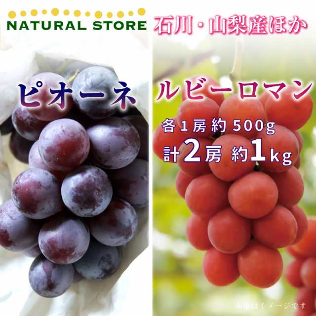 ぶどう　9月20日必着]　500g　計約1kg　マーケット　au　石川・山梨県産ほか　秋ギフト　サロンドフルーツ　au　PAY　マーケット－通販サイト　秋のおの通販はau　ピオーネ　PAY　ルビーロマン　PAY　各1房　果物専用箱　食べ比べ　お彼岸用　マーケット店