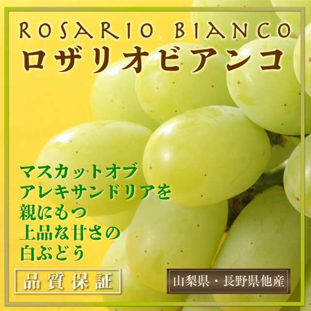 最短順次発送] ロザリオビアンコ ぶどう 1房 約500g 山梨県 長野県 他