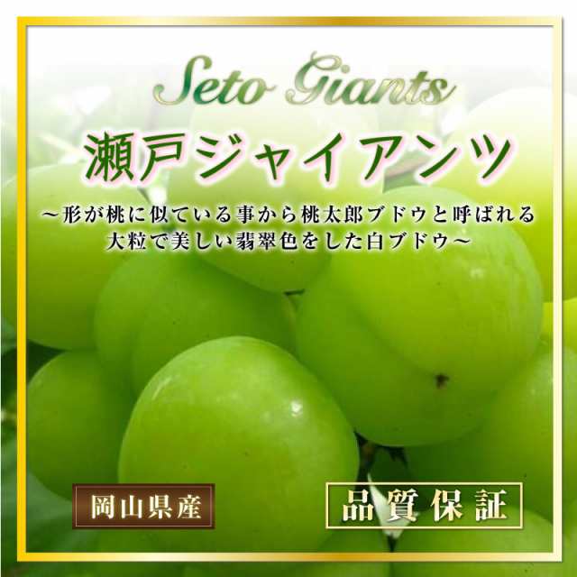 56%OFF!】 瀬戸ジャイアンツ 桃太郎ブドウ 4kg 8房入り 2kg×2箱 岡山県産 2022年10月初旬以降お届け fucoa.cl