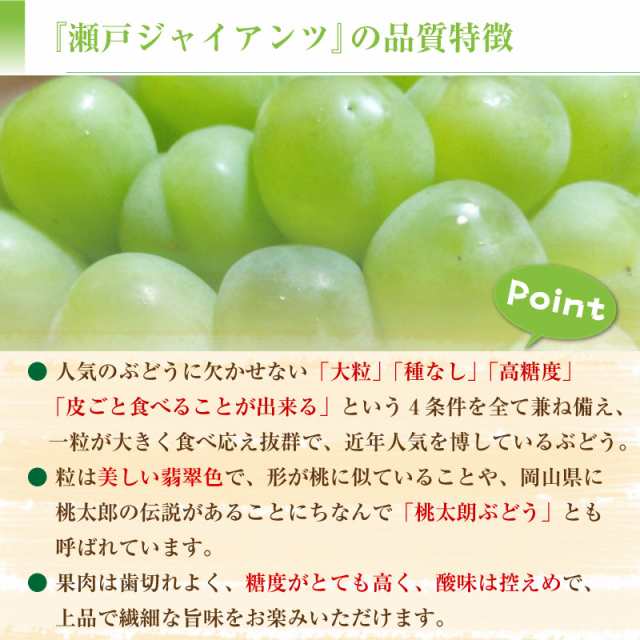 56%OFF!】 瀬戸ジャイアンツ 桃太郎ブドウ 4kg 8房入り 2kg×2箱 岡山県産 2022年10月初旬以降お届け fucoa.cl