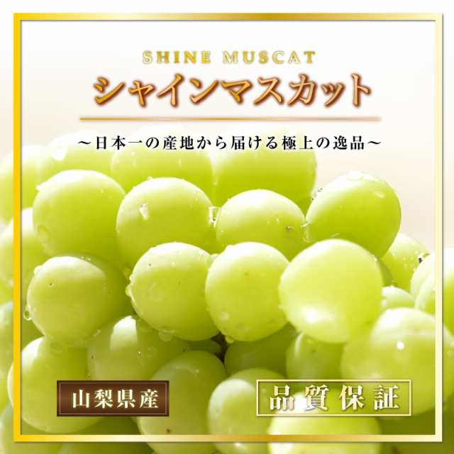 最短順次発送] 巨峰 シャインマスカット 各1房 計約 1.2kg 600g 食べ