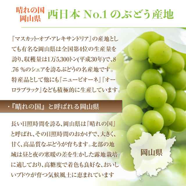 お彼岸用 9月20日必着] シャインマスカット 晴王 計約1.8kg 約600-700g