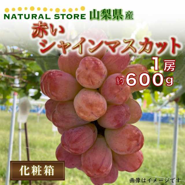 山梨県夏ギフト　マーケット　マーケット店　御中元の通販はau　PAY　約　お中元　600g　夏ギフト　au　赤い　最短順次発送]　au　PAY　サロンドフルーツ　シャインマスカット　PAY　1房　マーケット－通販サイト