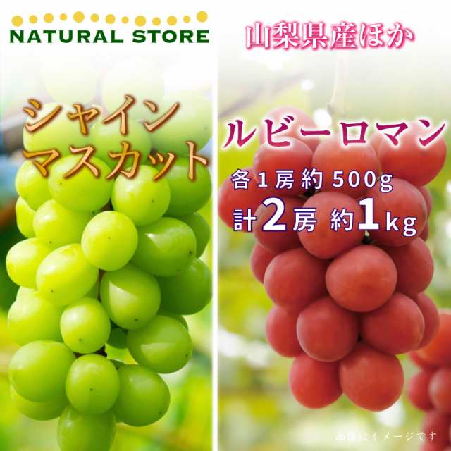 おまけ付】 ルビーロマン 2房 約1.2kg ぶどう 高級ぶどう 約600g房 x 2