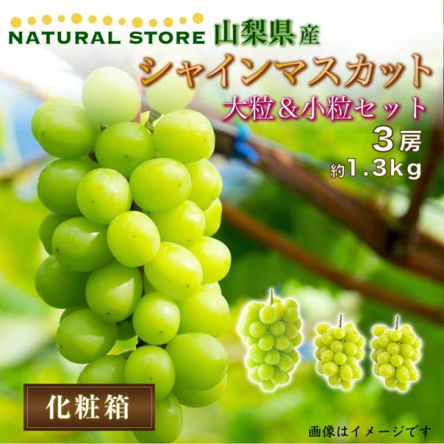 大粒　山梨県産　予約　8月16日-8月31日の納品]　セット　au　マーケット店　350　マーケット　1.3kg　お中元　秋ギフト　PAY　au　シャインマスカット　PAY　の通販はau　2房　3房　1房　600g　夏ギフト　小粒　サロンドフルーツ　PAY　マーケット－通販サイト