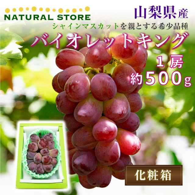 仕入れ 【予約 8月1日〜初荷分より順次発送】 バイオレットキング 1房 約 500g 特大 大粒 ぶどう ブドウ 葡萄 山梨県 笛吹 化粧箱  夏ギフト 御