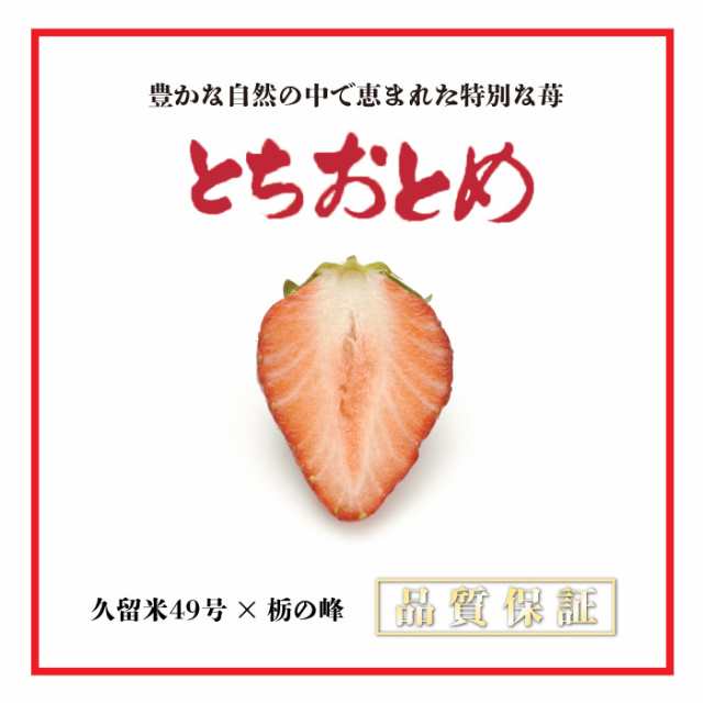 au　約300g×2　PAY　お正月必着指定　お年賀　栃木県産他　とちおとめ　2024年1月1日必着]　au　果実専用箱　PAY　マーケット店　PAY　御年賀　サロンドフルーツ　マーケット－通販サイト　冬ギフトの通販はau　2L3L　予約　マーケット