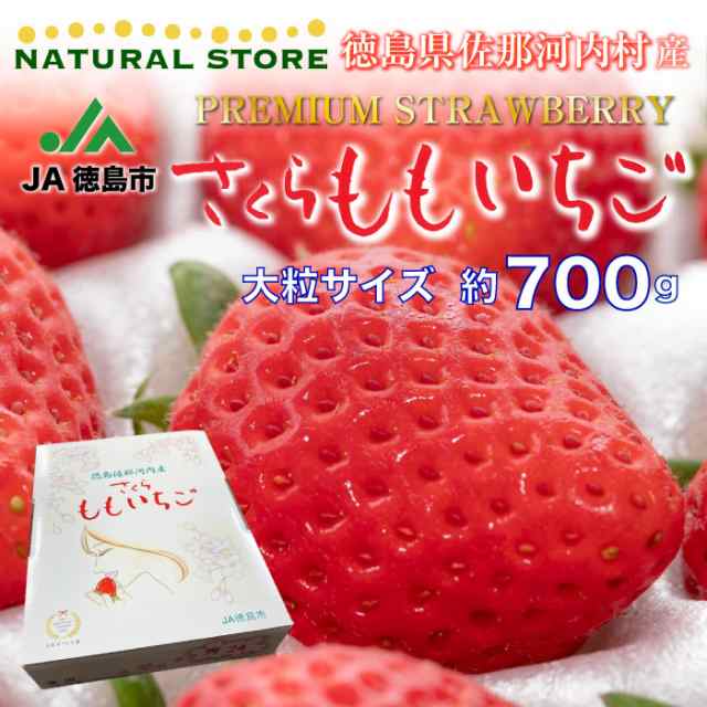 化粧箱　さくらももいちご　予約　プレミアム苺　マーケット　マーケット－通販サイト　徳島県産の通販はau　PAY　PAY　サロンドフルーツ　2024年2月11日-2月14日の納品]　PAY　マーケット店　au　バレンタイン　DX　約700g　au