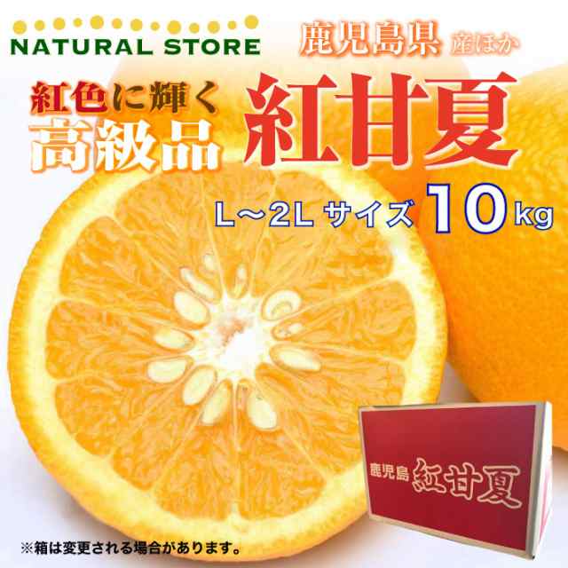 予約 1月1日-1月30日の納品] 紅甘夏 紅甘夏みかん 夏みかん 10kg L 2L