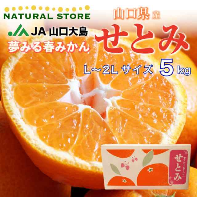 予約 3月1日-4月15日の納品] せとみ 春みかん L 2L 約5kg 産地箱 高