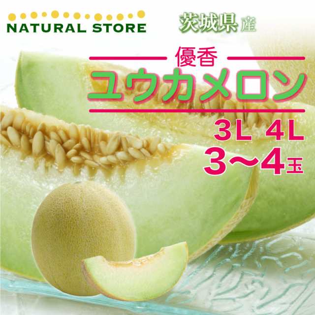 熱い販売 稀少品種 ユウカメロン 糖度16 秀品3L 4玉 茨城県 ...