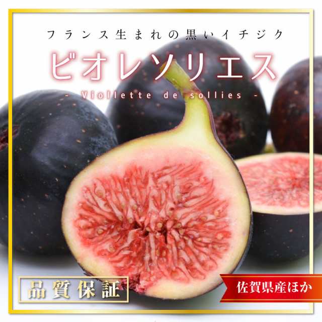 最短順次発送] ビオレソリエス イチジク 約600g 約300g x 2 黒イチジク