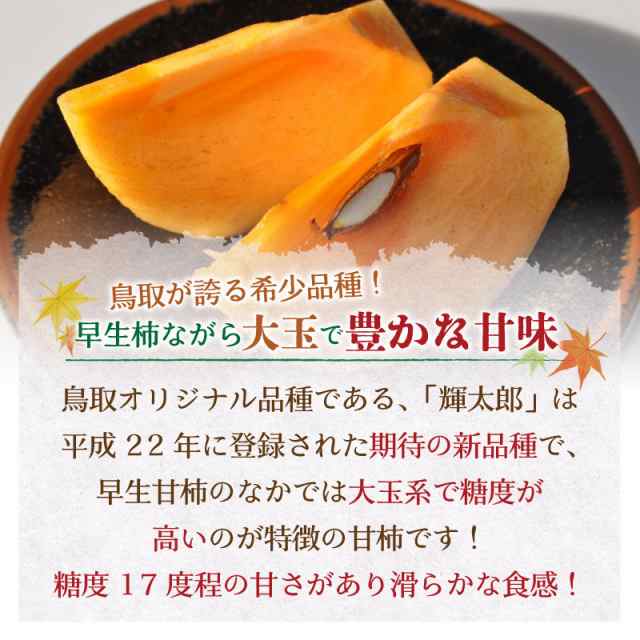 予約 10月1日-10月31日の納品] 輝太郎柿 きたろう 輝太郎 7-12玉 約3kg 鳥取県産 秋ギフト 甘柿 鳥取県のブランド甘柿 化粧箱 柿の通販はau  PAY マーケット - サロンドフルーツ au PAY マーケット店