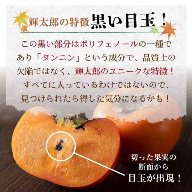 予約 10月1日-10月31日の納品] 輝太郎柿 きたろう 輝太郎 7-12玉 約3kg 鳥取県産 秋ギフト 甘柿 鳥取県のブランド甘柿 化粧箱 柿の通販はau  PAY マーケット - サロンドフルーツ au PAY マーケット店