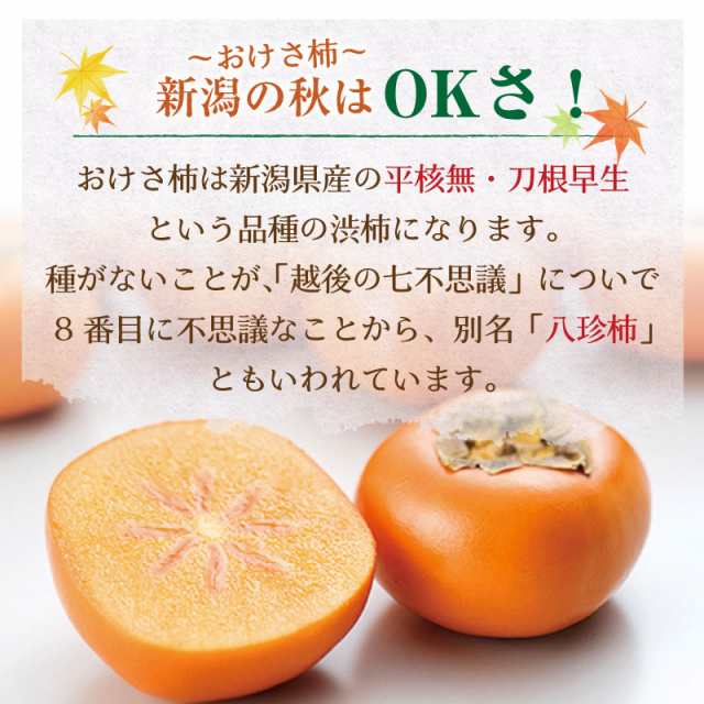 予約 10月1日-10月30日の納品] おけさ柿 八珍柿 たねなし柿 2L-4L 約5kg 新潟県産 秋ギフト 平核無 刀根早生 甘柿 化粧箱 柿の通販はau  PAY マーケット - サロンドフルーツ au PAY マーケット店