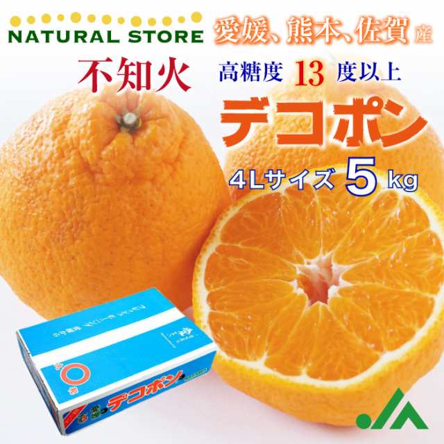 ４Ｌ　デコポン　御歳の通販はau　お歳暮　マーケット　au　不知火　高糖度　冬ギフト　5kg　熊本県産　マーケット－通販サイト　au　12月1日-12月20日の納品]　佐賀県産　柑橘　予約　PAY　PAY　サロンドフルーツ　愛媛県産　PAY　みかんの王様　マーケット店