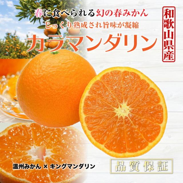 予約 4月15日 5月15日の納品 カラマンダリン 約5kg 和歌山県産ほか なつみ みかん 初夏のみかん カラマンダリン 美味しい 高糖度 プレの通販はau Pay マーケット サロンドフルーツ Au Pay マーケット店