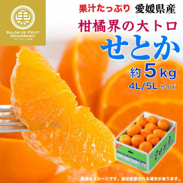 予約 1月10日-2月28日の納品] せとか 約5kg 4L 5Lサイズ 愛媛県産 特大