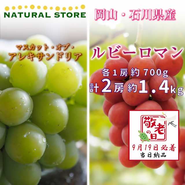 予約 9月19日必着] ルビーロマン 1房 約700g ぶどう 石川県 糖度18度