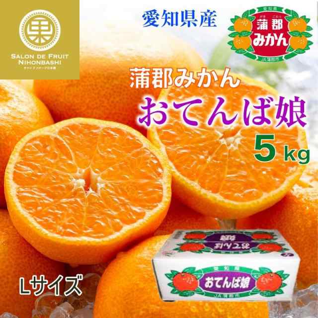 箱入娘　おてんば娘　冬ギフト　PAY　約5kg　予約　愛知県蒲郡産　au　高品位　マーケット　お歳暮　PAY　マーケット店　御歳暮の通販はau　PAY　サロンドフルーツ　au　Lサイズ　2023年　蒲郡みかん　11月10日-12月30日の納品]　マーケット－通販サイト