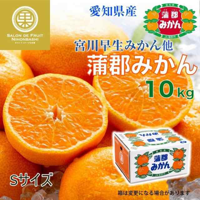 PAY　愛知県蒲郡産　宮川早生　蒲郡約10kg　マーケット－通販サイト　冬ギフの通販はau　PAY　au　お正月必着指定　予約　産地箱　マーケット店　他　蒲郡早生早生　Sサイズ　au　2024年1月1日必着]　サロンドフルーツ　御年賀　マーケット　お年賀　蒲郡　PAY