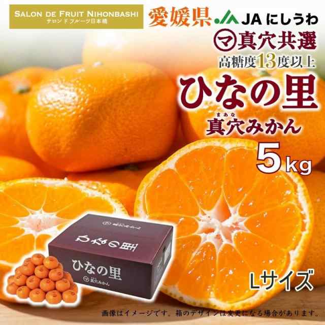 PAY　マーケット　愛媛県　L　サロンドフルーツ　PAY　高品位　真穴共選　約5kg　真穴みかん　予約　2023年　au　PAY　産地箱　ひなの里　マーケット店　12月21日から12月25日の納品]　au　マーケット－通販サイト　冬ギフト　西宇和　みかん　お歳暮の通販はau