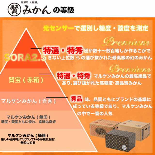 樹上完熟　みかん　予約　マルケン　賢宝マル賢約5kg　冬ギフト　上級品　マーケット店　お歳暮　au　の通販はau　サロンドフルーツ　PAY　2023年　特秀　PAY　PAY　マーケット－通販サイト　12月15日頃から発送]　まるけん　マーケット　Mサイズ　和歌山県　au