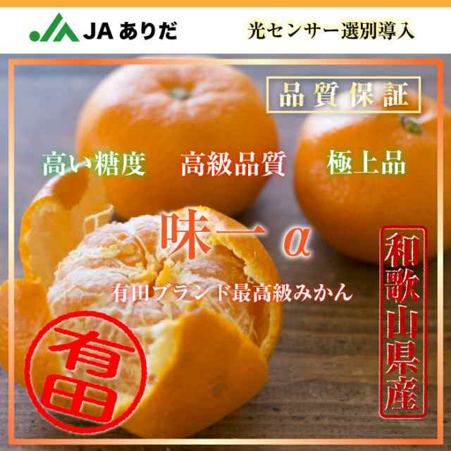 予約　JAありだ　au　産地箱　和歌山県有田産　5kg　サロンドフルーツ　2023年　みかん　冬ギフト　糖度13度　12月5日頃から発送]　マーケット店　PAY　au　有田みかん　マーケット　味一α　PAY　お歳暮　御歳暮の通販はau　PAY　マーケット－通販サイト