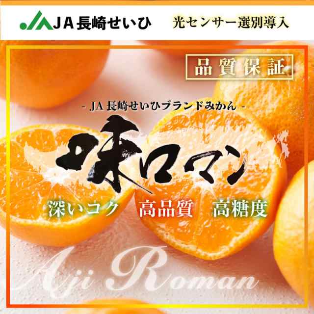 予約 1月1日必着] 味ロマン みかん 約 5kg Sサイズ 長崎県 JA長崎せいひ 高糖度 長崎 高級 産地箱の通販はau PAY マーケット -  サロンドフルーツ au PAY マーケット店