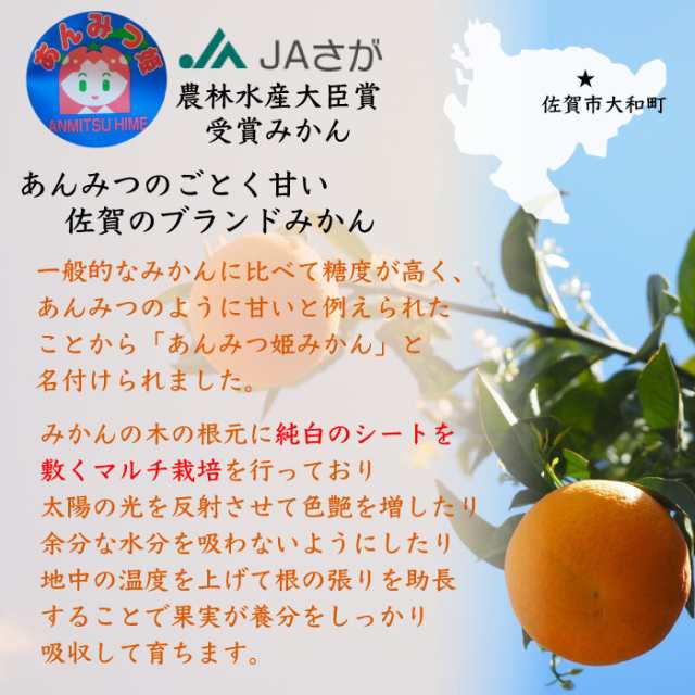 早生　冬ギフト　佐賀県産　PAY　マーケット店　みかん　PAY　5kg　マーケット　au　お歳暮　Sサイズ　2023年　予約　au　ミカン　サロンドフルーツ　産地箱　御歳暮の通販はau　12月25日頃から発送]　マーケット－通販サイト　あんみつ姫　約　高糖度　PAY