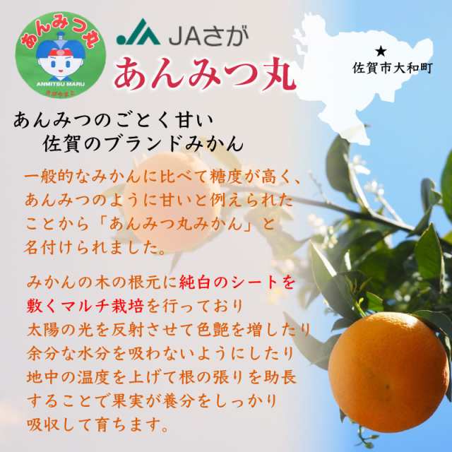 あんみつみかん　9kg　佐賀県産　約　マーケット　11/10から日時指定可]　マーケット店　au　予約　2Lサイズ　PAY　PAY　サロンドフルーツ　箱買い　美味しいみかん　の通販はau　あんみつ丸　au　ミカン　ギフト　みかん　マーケット－通販サイト　高糖度　PAY