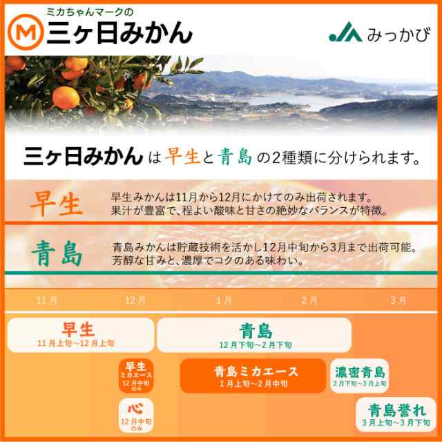 静岡県産　au　約3.5kg　マーケット店　予約　PAY　三ケ日みかん　3月1日-3月31日の納品]　2Lサイズ　濃蜜青島　PAY　サロンドフルーツ　au　産地箱　JAみっかび　ギフトの通販はau　マーケット　PAY　マーケット－通販サイト