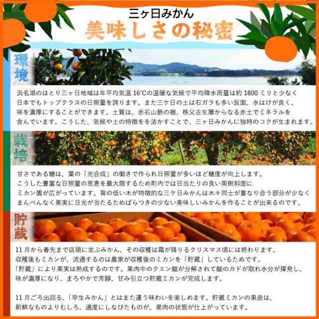 予約 11月10日-11月30日の納品] 三ケ日みかん 早生 約 4kg Sサイズ 静岡県産 JAみっかび 早生 蜜柑 産地箱 冬ギフト お歳暮  御歳暮の通販はau PAY マーケット - サロンドフルーツ au PAY マーケット店