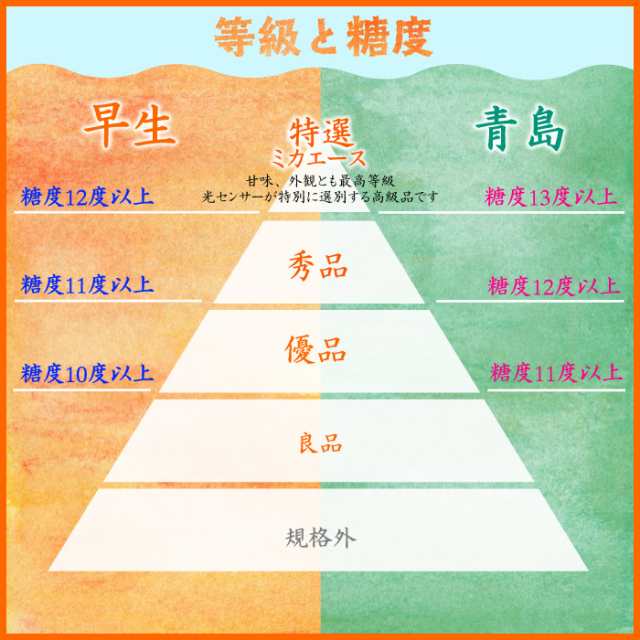 予約 11月10日-11月30日の納品] 三ケ日みかん 早生 約 4kg Sサイズ 静岡県産 JAみっかび 早生 蜜柑 産地箱 冬ギフト お歳暮  御歳暮の通販はau PAY マーケット - サロンドフルーツ au PAY マーケット店