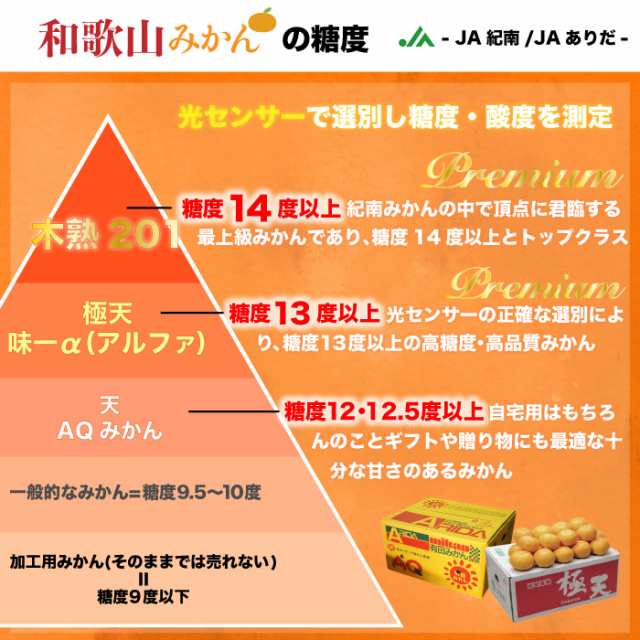 予約　和歌山県有田産　10kg　マーケット　マーケット店　Sサイズ　有田みかん　2023年　おの通販はau　有田AQ選果場　AQみかん　冬ギフト　au　高糖度　サロンドフルーツ　12月5日頃から発送]　au　PAY　PAY　JAありだ　PAY　産地箱　マーケット－通販サイト