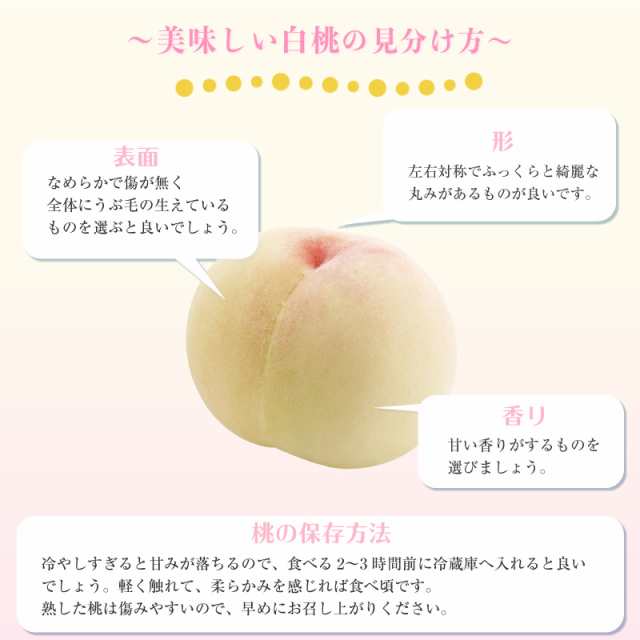 誠実】 岡山県産 おかやま夢白桃 箱別３,８キロ