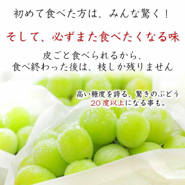 最短順次発送] 長野県中野市産 シャインマスカット 合計約1.5kg (3房