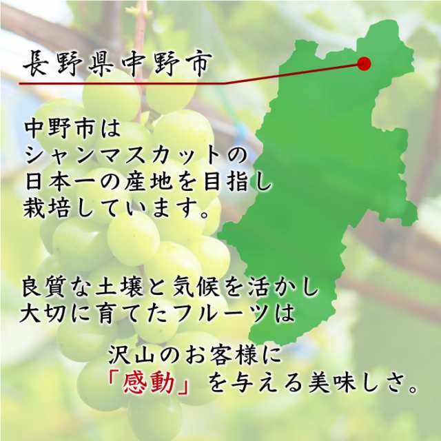 ふるさと納税 中野市 長野県 中野市産 シャインマスカット4房(2.6kg以上)