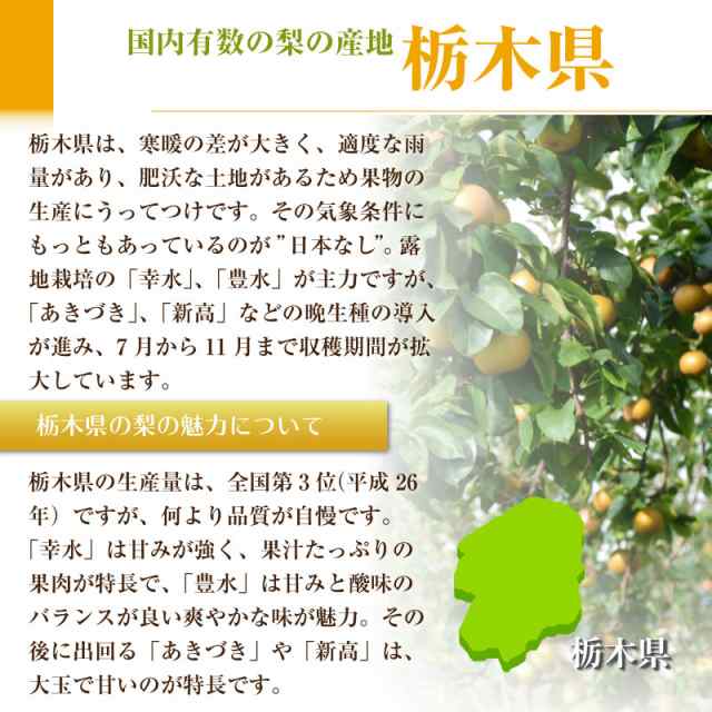 予約 10月1日-10月31日の納品] にっこり梨 和梨 約5kg 7-8玉 大玉 栃木県産 NHK うまいッ! で話題 秋ギフト 梨 日本梨の通販はau  PAY マーケット - サロンドフルーツ au PAY マーケット店