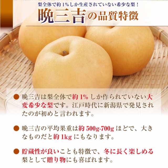 予約 1月1日-2月20日の納品] 晩三吉 約1.2kg 約600g×2玉 おくさんきち 大分県他 ありの実箱 果実専用箱 冬ギフト 梨  和梨の通販はau PAY マーケット - サロンドフルーツ au PAY マーケット店