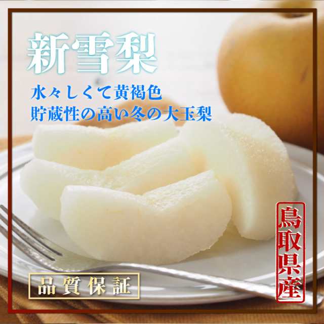 予約 12月15日-1月15日の納品] 新雪梨 梨 約 3kg 5-7玉 化粧箱 冬ギフト 御歳暮 お歳暮 御年賀 お年賀の通販はau PAY  マーケット - サロンドフルーツ au PAY マーケット店