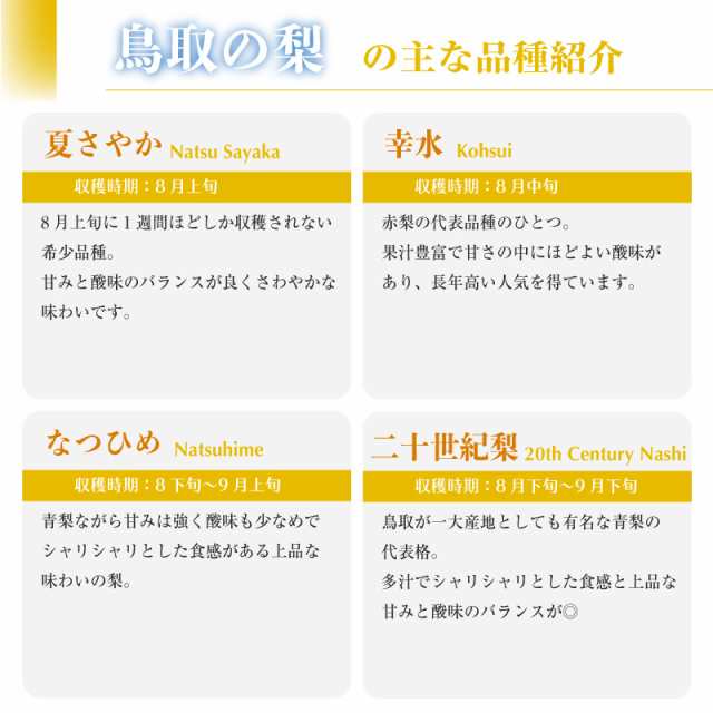 予約 12月15日-1月15日の納品] 新雪梨 梨 約 3kg 5-7玉 化粧箱 冬ギフト 御歳暮 お歳暮 御年賀 お年賀の通販はau PAY  マーケット - サロンドフルーツ au PAY マーケット店