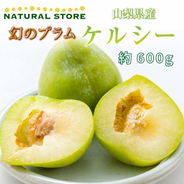 まだ間に合う！お盆用 [8月10日-8月15日ご納品] プラム すもも ケルシー 約600g 幻のプラム 山梨県産 希少品種 グリーンプラム ギフト  ｜au PAY マーケット