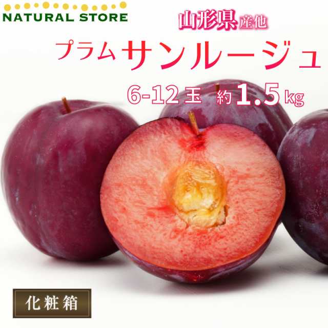 お彼岸用 9月20日必着] プラム すもも サンルージュ 約1.5kg 6-12玉