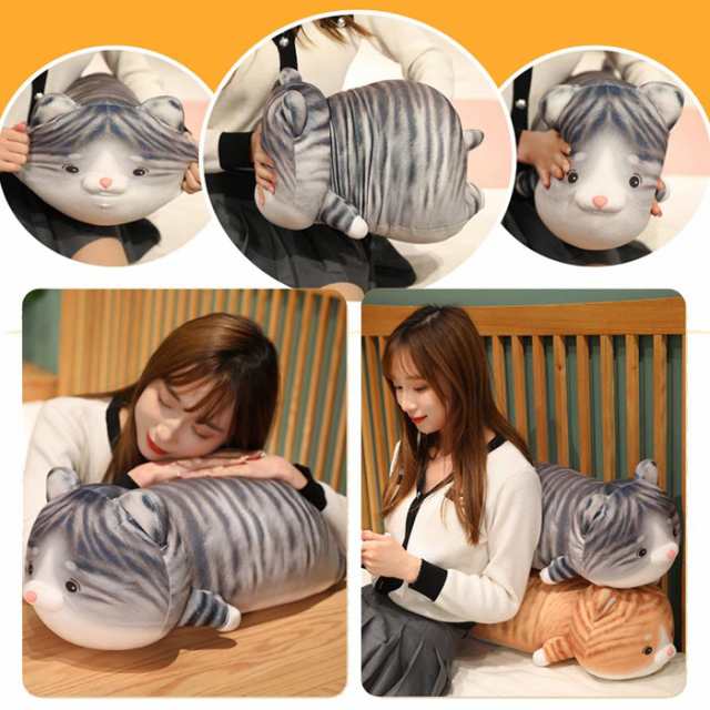 【未使用品】 Touma様専用 604040サイドアクリル 背面防水板 天板金網 温室・飼育ケース