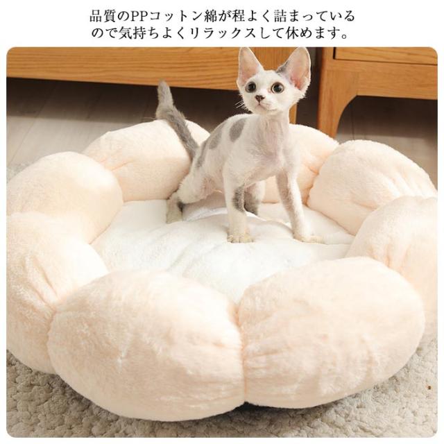 Amazon | 猫小屋 猫ハウス 安全感 隠れ家 トンネル型 クッション Amazon | 猫小屋 猫ハウス 安全感 隠れ家 トンネル型 クッション